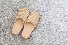 软棕色（的）颜色拖鞋地毯