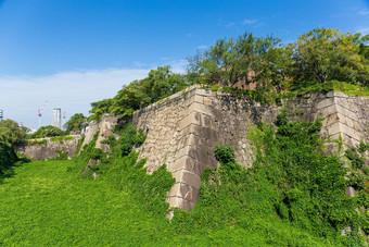 绿色爬虫城堡墙大阪