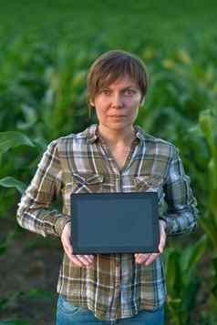 农学家平板电脑电脑玉米场