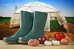 橡胶靴子蔬菜温室背景
