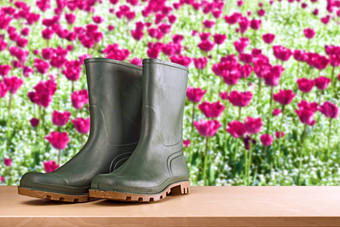 橡胶靴子花花园