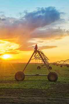 自动化农业灌溉系统日落