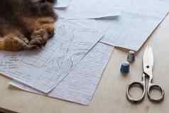 裁缝工具剪刀顶针模式草图