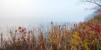 静止早期早....雾湖渥太华安大略