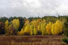 秋天景观公园秋天明亮的颜色秋天