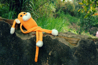 针织孤独的猴子象征一年