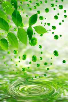 绿色叶子水滴