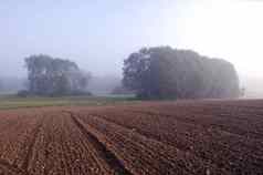 太阳不断上升的新鲜耕种粘土场农村景观早....