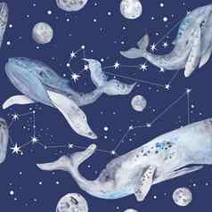 明星鲸鱼水彩模式