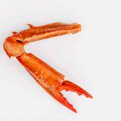 煮熟的蟹爪子孤立的白色背景螃蟹海