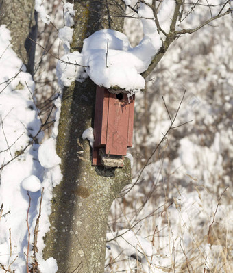 红色的<strong>禽舍</strong>覆盖雪