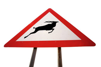 标志路动物警告