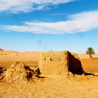 撒哈拉沙漠<strong>非</strong>洲摩洛哥棕榈<strong>现场</strong>施工
