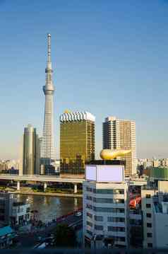 东京天空树建筑浅草区东京