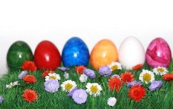 色彩斑斓的复活节鸡蛋花草地