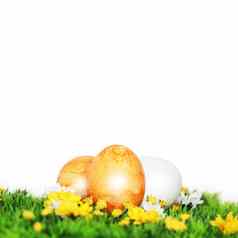 黄色的画复活节鸡蛋