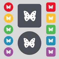 蝴蝶标志图标昆虫象征集色彩鲜艳的按钮