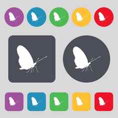 蝴蝶图标标志集彩色的按钮平设计