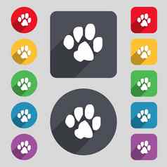 跟踪狗图标标志集彩色的按钮长影子平设计