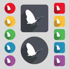 蝴蝶图标标志集彩色的按钮长影子平设计