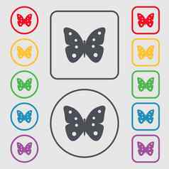 蝴蝶标志图标昆虫象征符号轮广场按钮框架