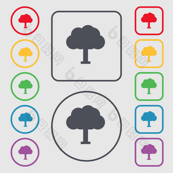 树森林图标标志象征轮广场按钮框架