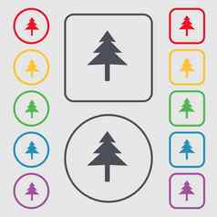 圣诞节树图标标志象征轮广场按钮框架