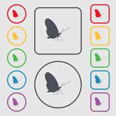 蝴蝶图标标志象征轮广场按钮框架