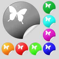 蝴蝶图标标志集多彩色的轮按钮贴纸
