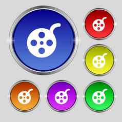 电影图标标志轮象征明亮的色彩鲜艳的按钮