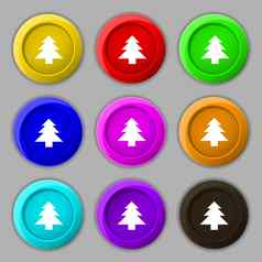 圣诞节树图标标志象征轮色彩鲜艳的按钮
