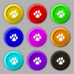 跟踪狗图标标志象征轮色彩鲜艳的按钮