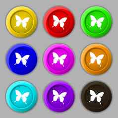 蝴蝶图标标志象征轮色彩鲜艳的按钮