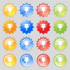 赢家杯标志图标授予赢家象征奖杯大集色彩斑斓的现代按钮设计