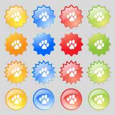 跟踪狗图标标志大集色彩斑斓的现代按钮设计