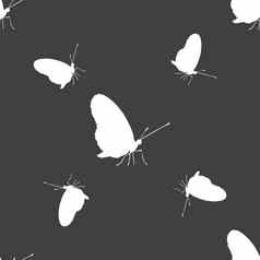 蝴蝶图标标志无缝的模式灰色的背景