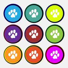 跟踪狗图标标志多彩色的轮按钮