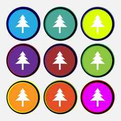 圣诞节树图标标志多彩色的轮按钮