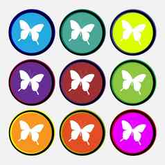 蝴蝶图标标志多彩色的轮按钮