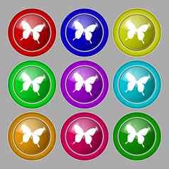 蝴蝶图标标志象征轮色彩鲜艳的按钮