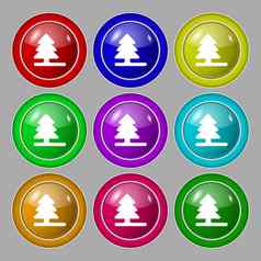 圣诞节树图标标志象征轮色彩鲜艳的按钮