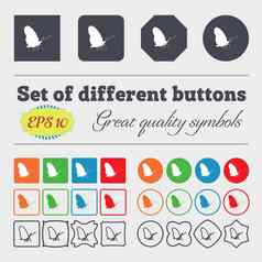 蝴蝶图标标志大集色彩斑斓的多样化的高质量的按钮