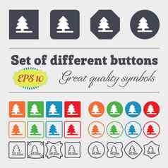 圣诞节树图标标志大集色彩斑斓的多样化的高质量的按钮