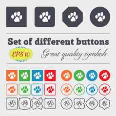 跟踪狗图标标志大集色彩斑斓的多样化的高质量的按钮