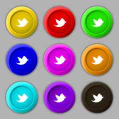 社会媒体消息推特转发图标标志象征轮色彩鲜艳的按钮