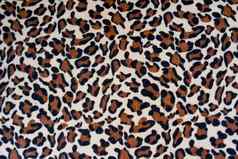 豹打印背景地毯地毯