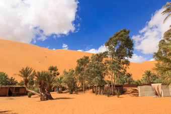 绿洲撒哈拉沙漠沙漠