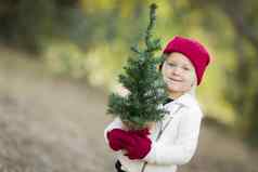 婴儿女孩红色的连指手套帽持有小圣诞节树