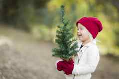 婴儿女孩红色的连指手套帽持有小圣诞节树