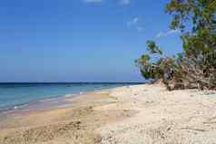梦想海滩巴厘岛印尼重镇penida岛